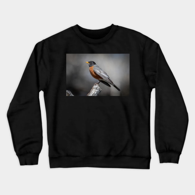 American Robin Crewneck Sweatshirt by gdb2